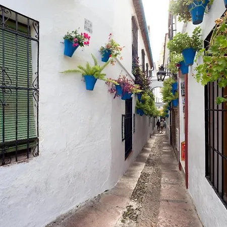 Centro Azahar Ii Apartmán *